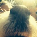 Eva Malm - @evamalm - Twitter