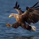 Herman Grant - @Grant4Herman - Twitter