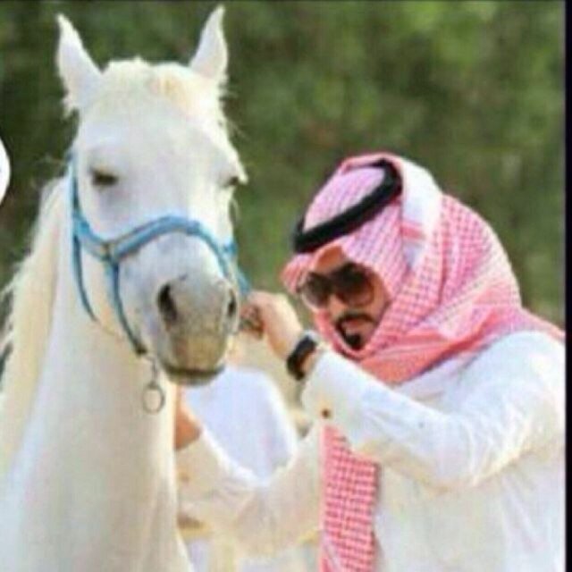 انسان بسيط محب للخير - شاعر - كل ابياتي في المفضله - لا اقتبس - ( تبادل رتيوت --- الخاص للتبادل ). Instagram Abood–14054