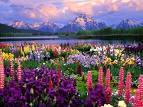 Mother of twins, school secretary, loves flowers, walks five miles everyday!