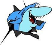 wouter_vdst's profile picture. 