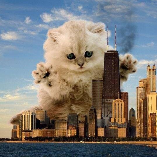 Drewiskiy's profile picture. 26 | thai | twitch affiliate :3 https://t.co/6uLSIyDrft