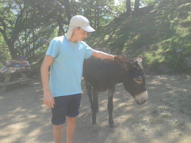 AllueDavid's profile picture. ieieie