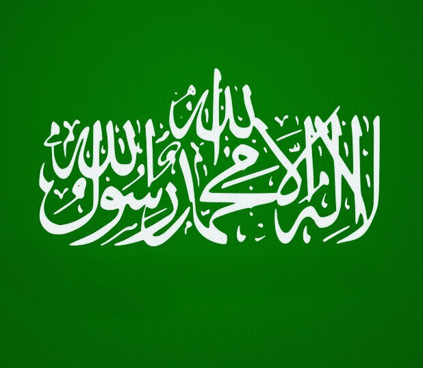 Muslim Activist, Computer Engineer, Graphic Designer
