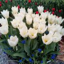 Maria Delarosa - @mariadelarosa04 - Twitter