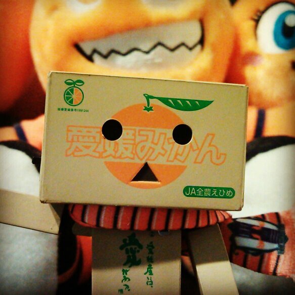 愛媛／東温／宇和島／愛媛FC／パイフラ／♂／U-50／へっぴり腰／親不孝果樹園／おいでよ東温市／チワワはいいぞ／サウナいこやおぢさん／老害タオル部