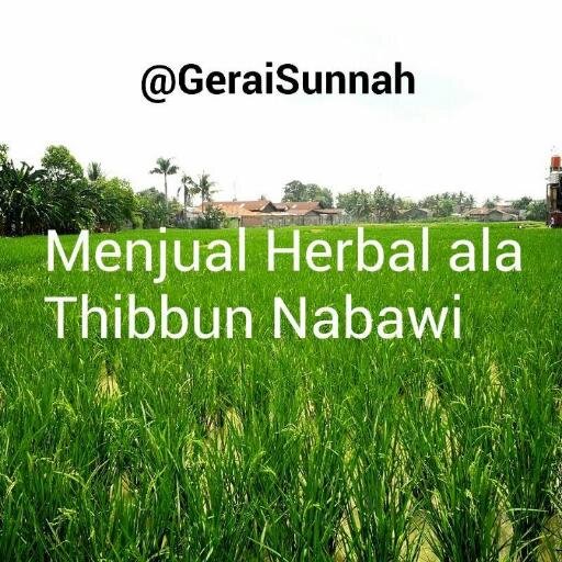 Ada bonus dzikir pagi & petang yg order senilai 100rb. order : 0813-8100-0684 bbm : 751e7ef7