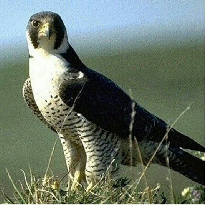 0Mkmk20's profile picture. 