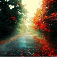 قيس العامري (@omanicitizen) Twitter profile photo