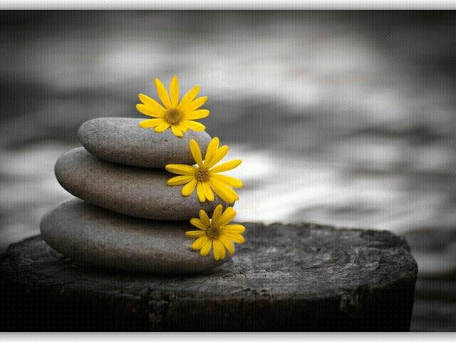 Anikaeichhorn's profile picture. :-)  ;-)