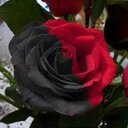 elina marisa coronel - @elina_marisa - Twitter