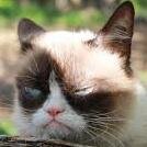 BongHistorian's profile picture. The Historian that Time Forgot