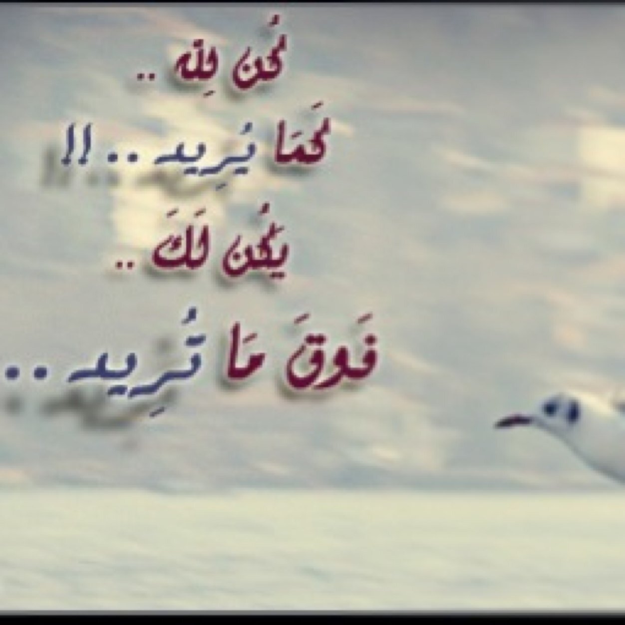  والله مامن شيء أسمى لكل كاتب أن يفنى فيه محابره من أن يؤصل في قلب من يقرأه أن الله عظيم ، قادر على زعزعة كل أوجاعه وأن الإلتجاء إليه كفيل أن يبدد كل آهاته