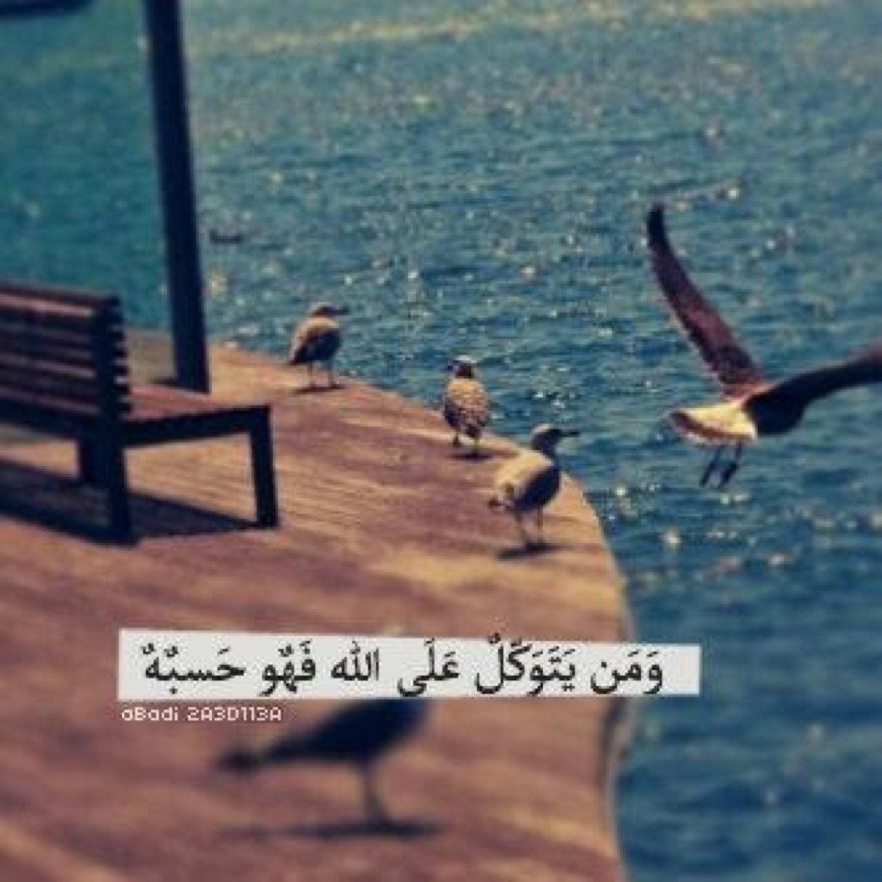 meemee166's profile picture. أبي , اشتقتُ لگ