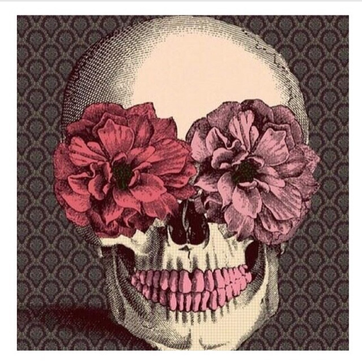 rose_and_bone's profile picture. two girls inspired. follow us on instagram @rose_and_bone