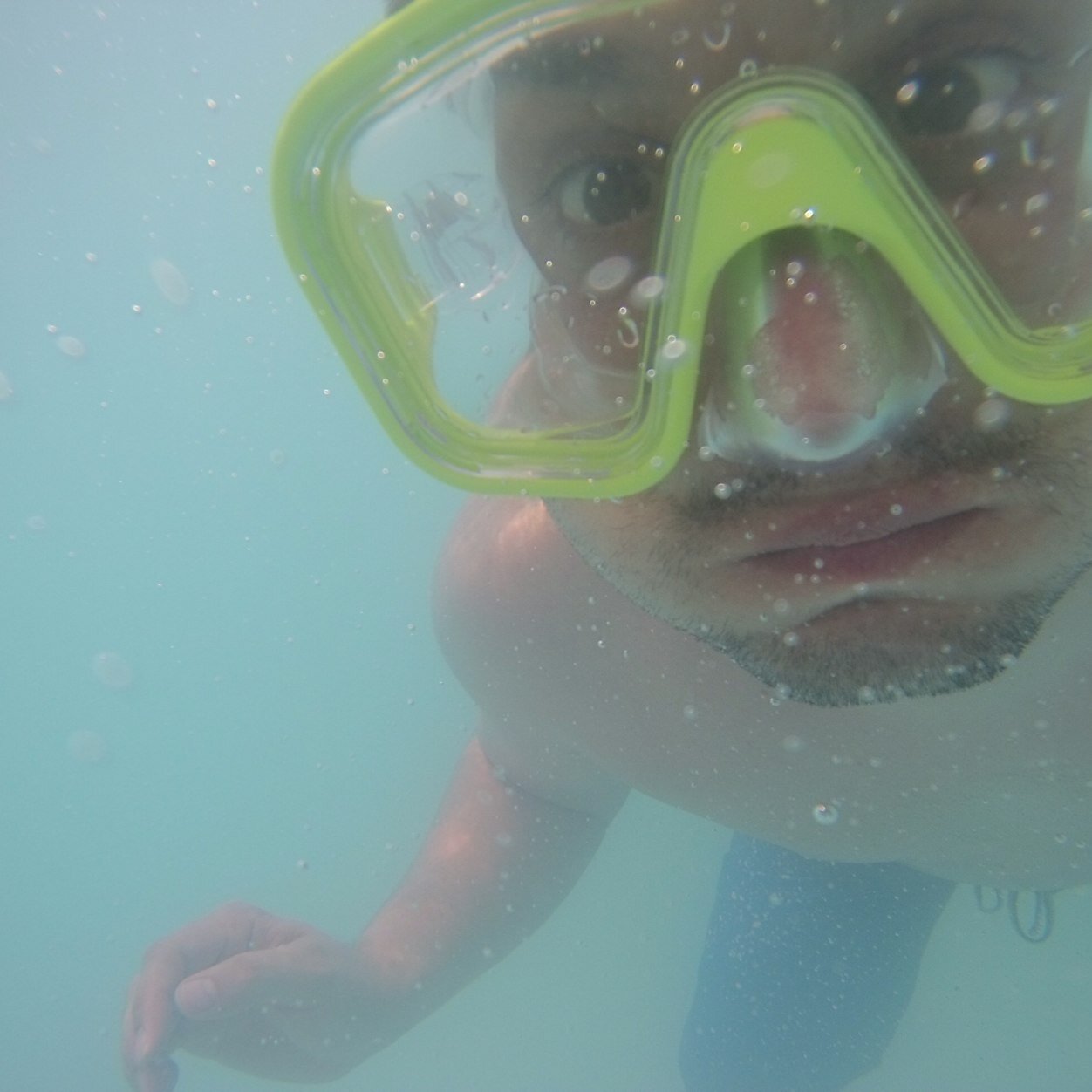 NV911's profile picture. Data Evangelist