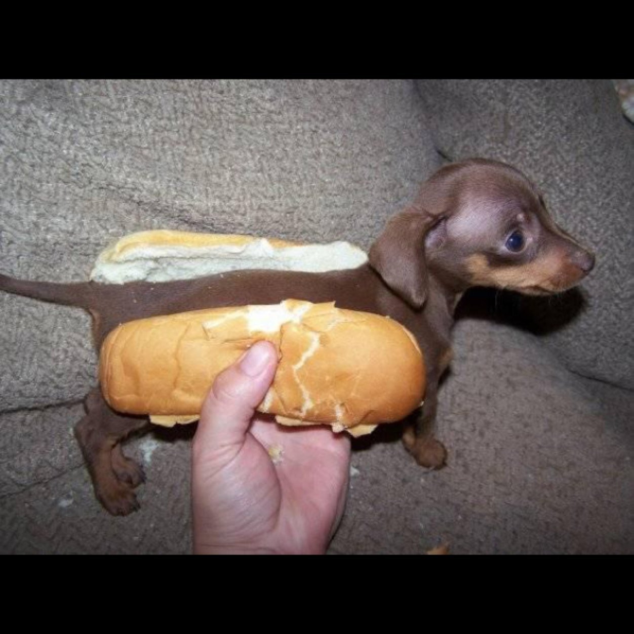 rocket787's profile picture. 