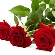 popikuddus's profile picture. 