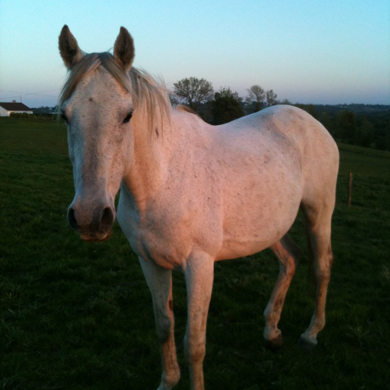 kate_nestor's profile picture. 