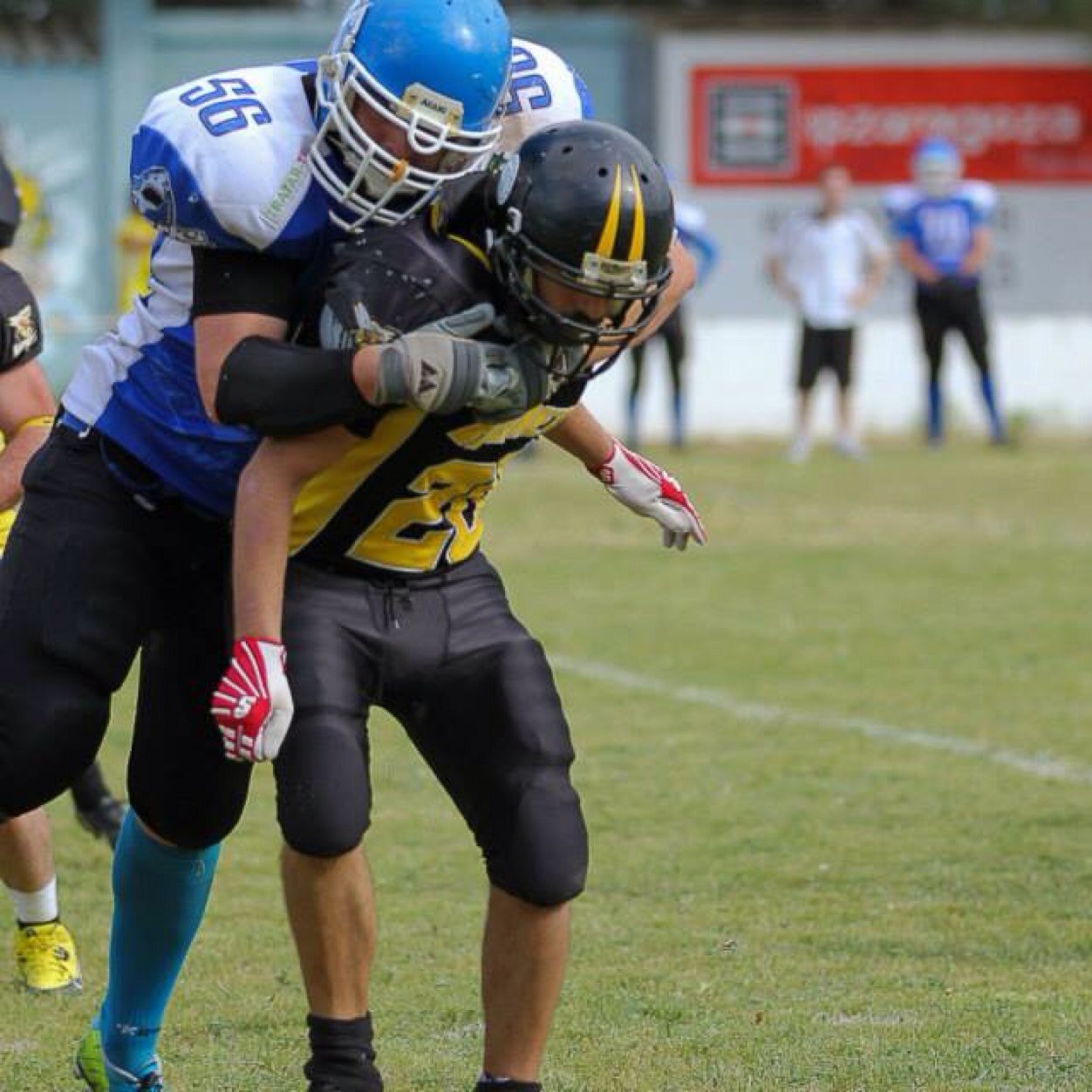 Jarlaex's profile picture. Alicante Sharks, This. That. You. Off.