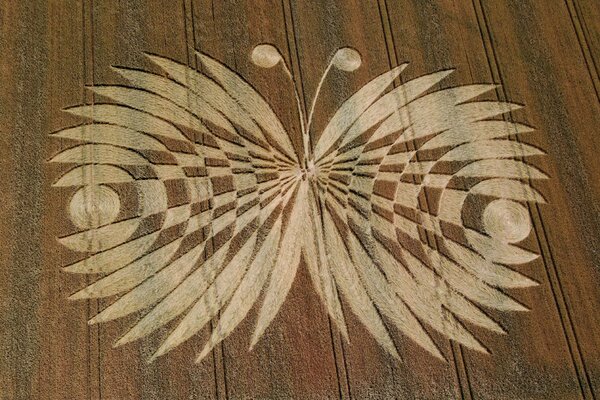 CropCirclesDatabase is a non-profit project which aims to collect information on crop circles.
