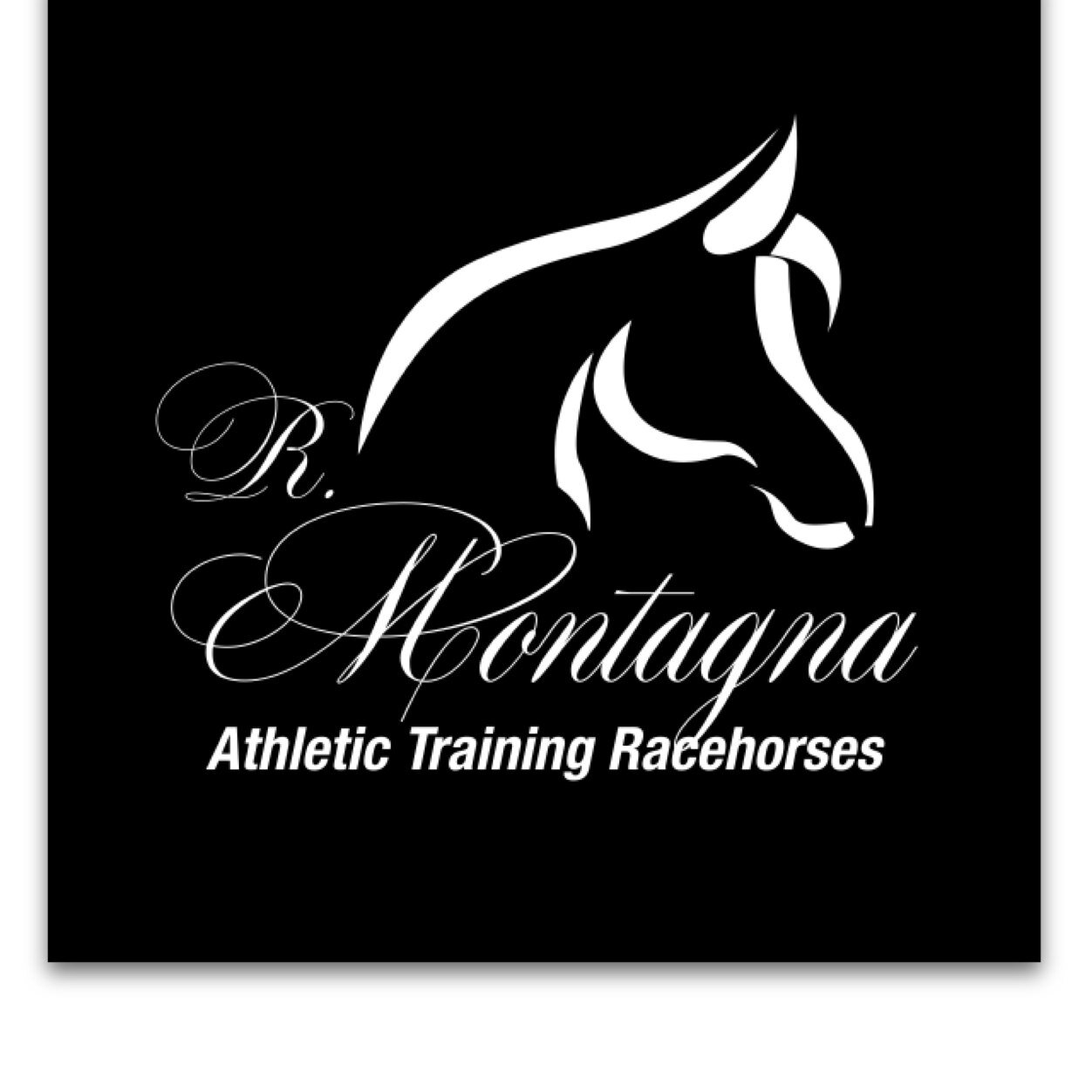 75montagna's profile picture. 