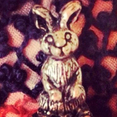 dxdⓂ︎aℹ︎©︎o