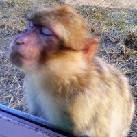 James (@kloktklo) 's Twitter Profile