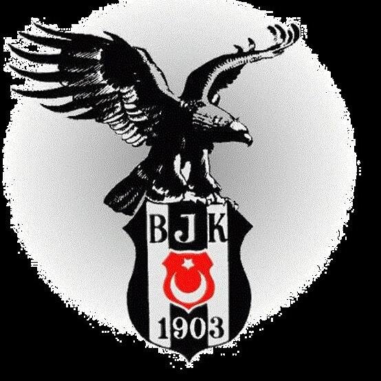 byrmtlhbck's profile picture. beşiktaş futbol okulunda  çalışıyor