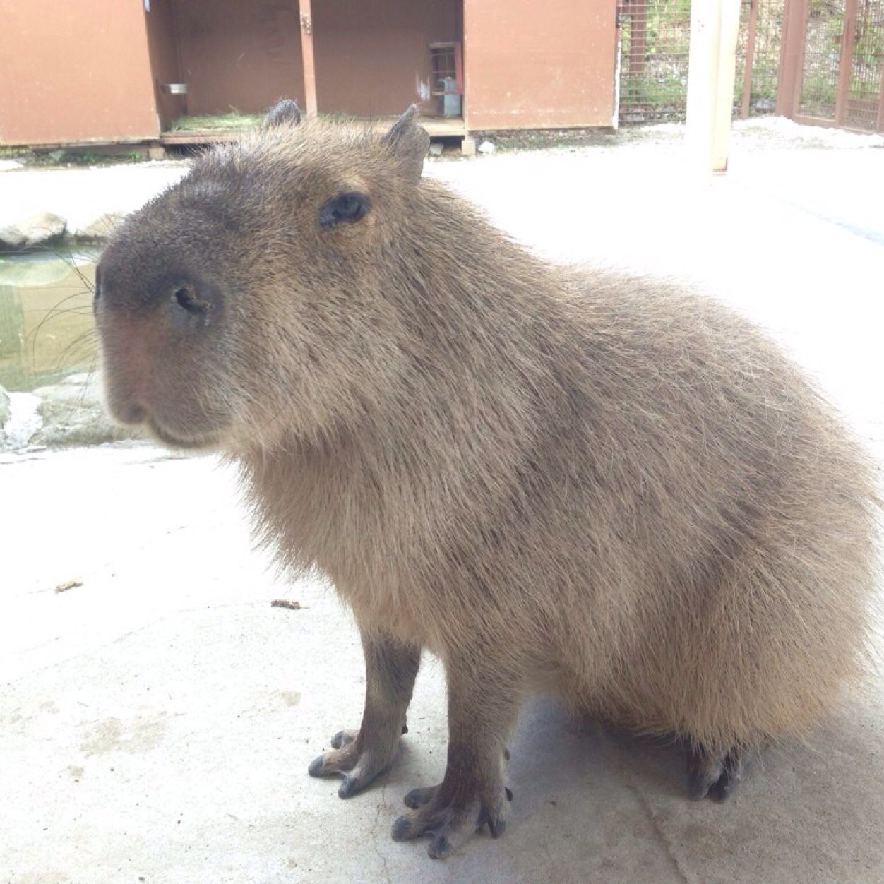 これから宗教はじめます。