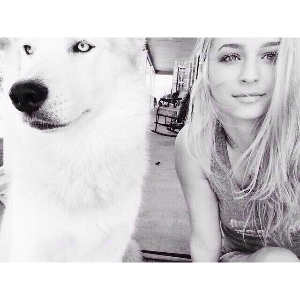 TwittosxLand's profile picture. 