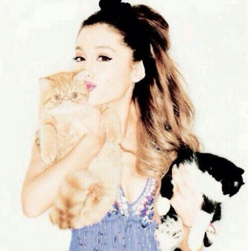 We are not  Ariana Grande  , but we are  Arianator