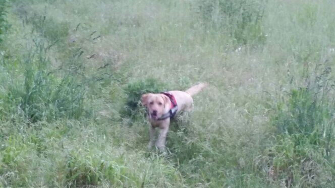 plinio201180's profile picture. 