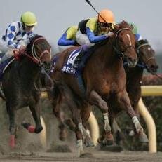 nayuta520's profile picture. 競馬ロマン派。競馬は文化史。岡部騎手騎乗のオグリキャップに競馬の世界を教わったオグリ世代です。ダート競馬指向性。アグネスデジタルの多様性。クロフネの圧巻。ゴールドアリュールの喉なりにはらはらし、カネヒキリの復活に神の再生を視ました。