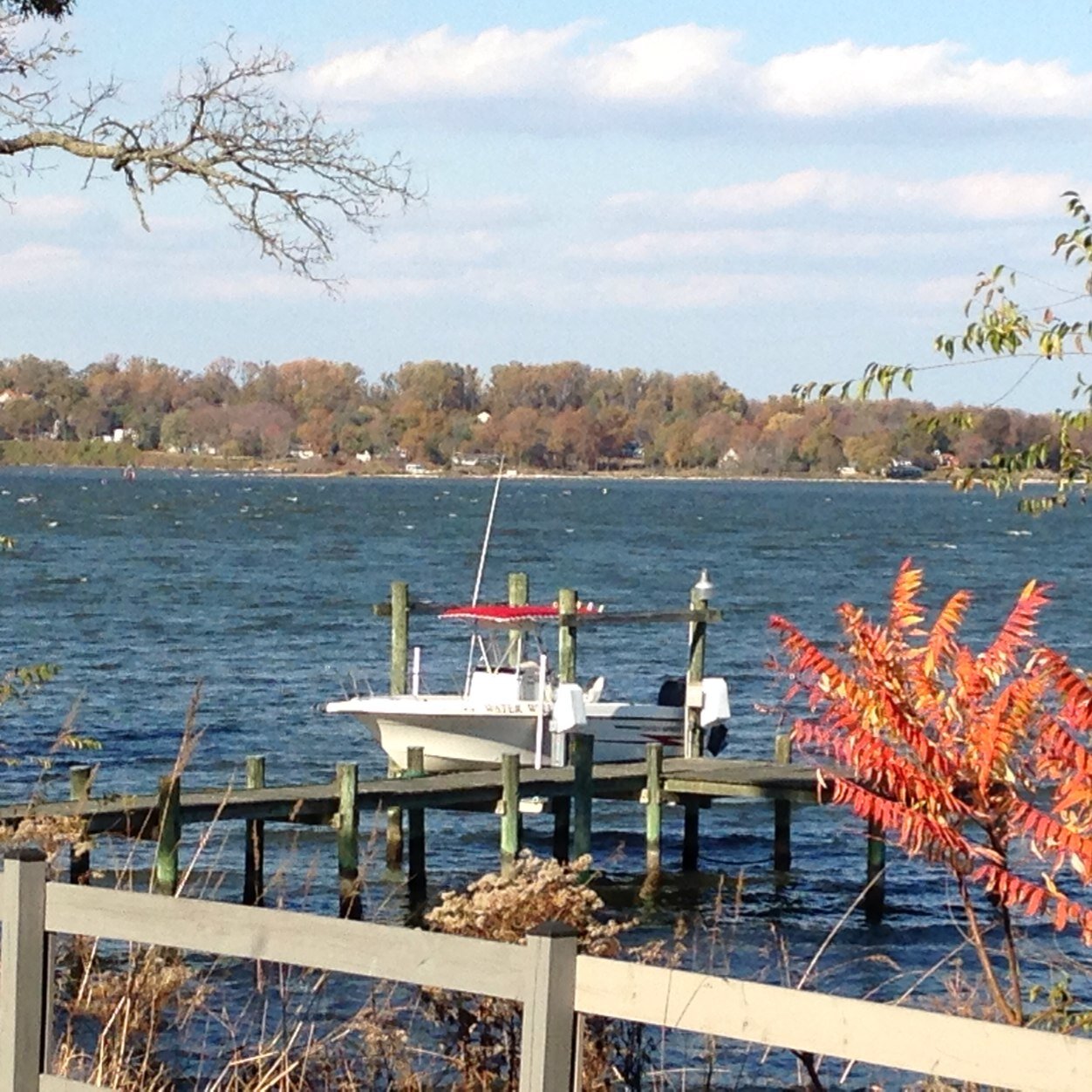 jgioeli's profile picture. 