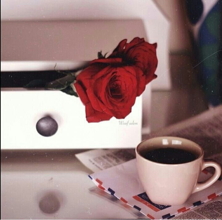 ‏•…ما أكثر الكلمات التي تتراجع أصابعنآ عن گتابتها رغم أنها أصدق ما نشعر به…•