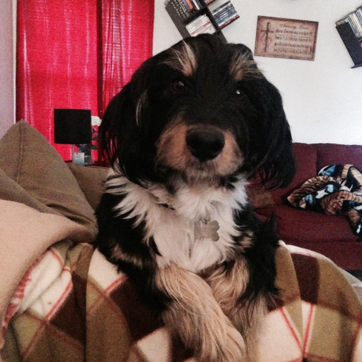 hscpae's profile picture. 