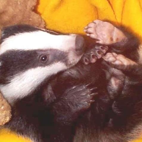 LizzieD2170's profile picture. Compassion costs nothing.