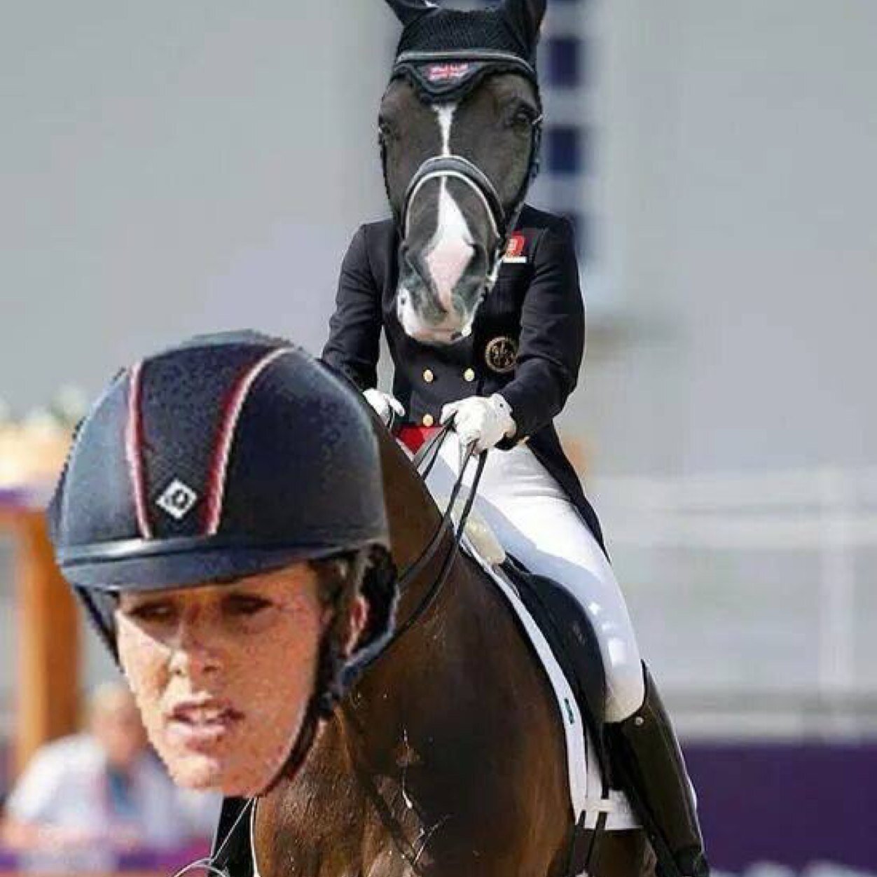 HeartOfARider's profile picture. horses ova everythang.