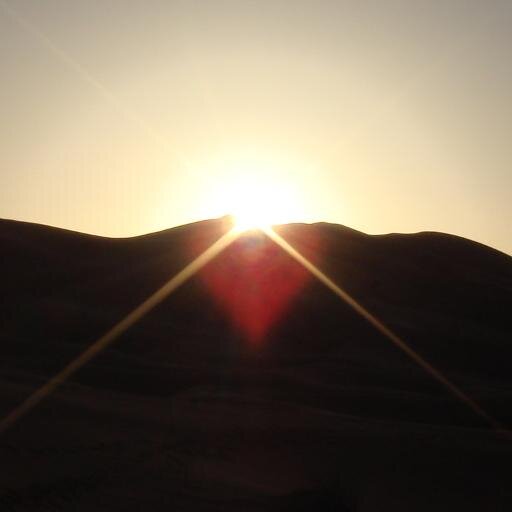 kimberly_salon's profile picture. 映画好き。旅行好き。甘いもの好き。観劇入門レベル。いいと思ったものに対して、いいね！と言ってくれる人、かつ、いいと思わないものに対して、決していいね！と言わない人、が好き。お気に入りをプールしたりbotと遊ぶアカウント♪ ブログは映画のレビューとか