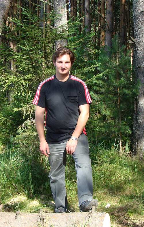 lisicio's profile picture. 