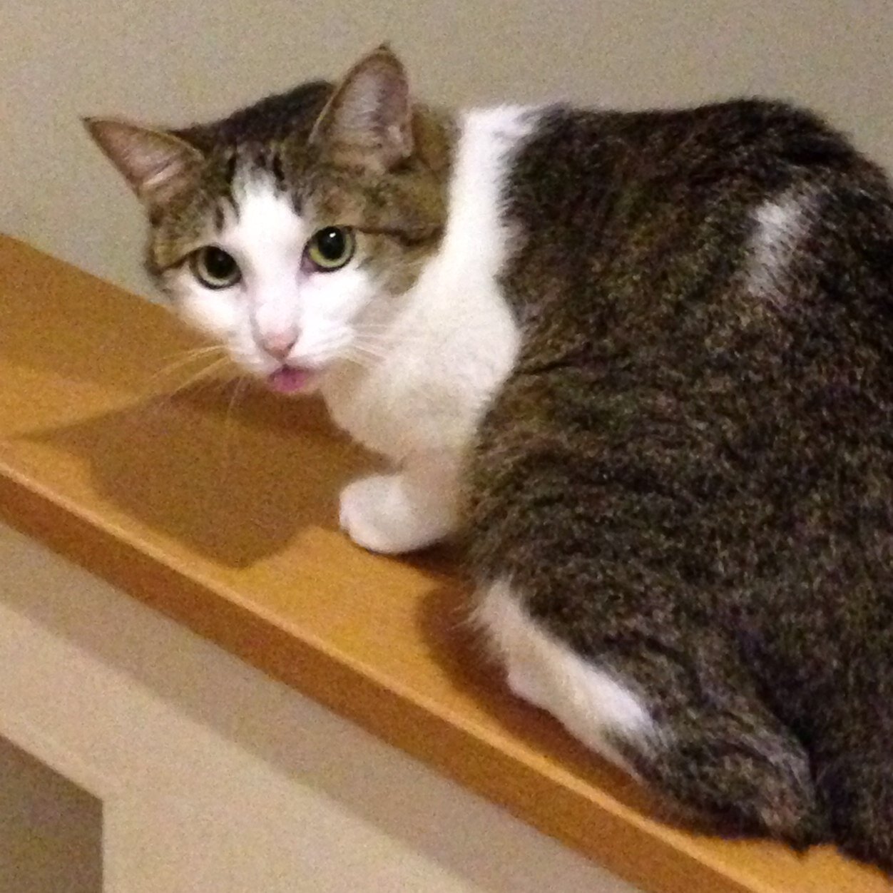 os512217's profile picture. 