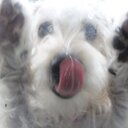 John Gillinger - @Johngillinger - Twitter