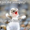 Terrie Meyer  - @mythicmom - Twitter