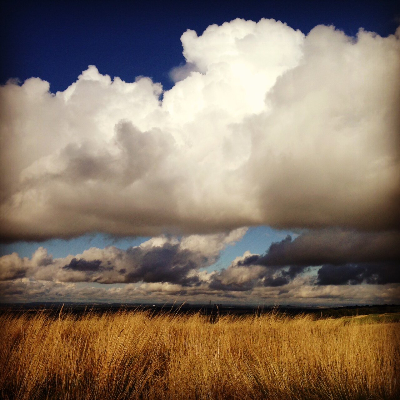 ByBuyBooks's profile picture. Book lover with a need for more space on those shelves