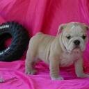 Lori Aviles - @babyaviles - Twitter