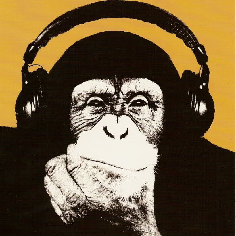 Life is too great to listen to shitty music