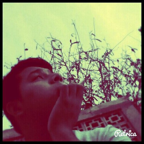 equis