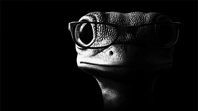 YearoftheGecko's profile picture. China blog: http://t.co/W5ENoTXaPN