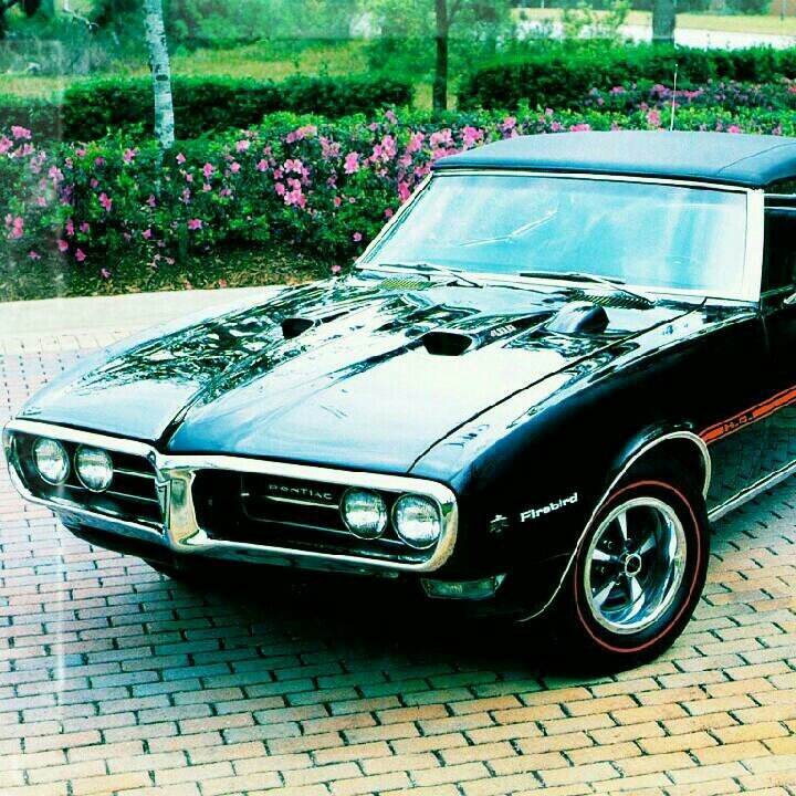 gavinhopkins30's profile picture. hi my name is Garrett and im 14 and i work at the movie theater and i love Nascar and i love glee